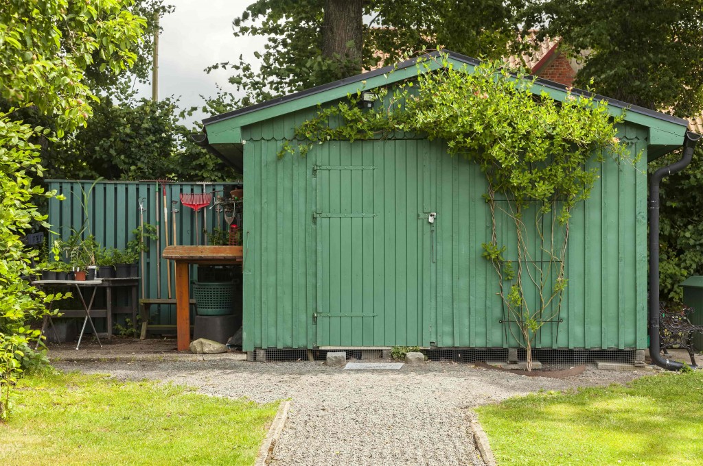 9 Essential Tips for Vermin-Proofing your Shed
