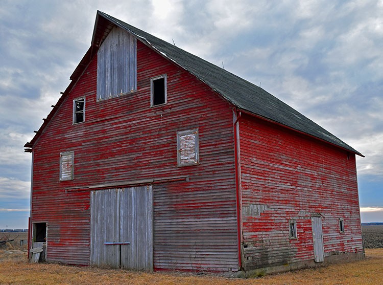 7 Great Tips to Protect Your Barn Against Termites