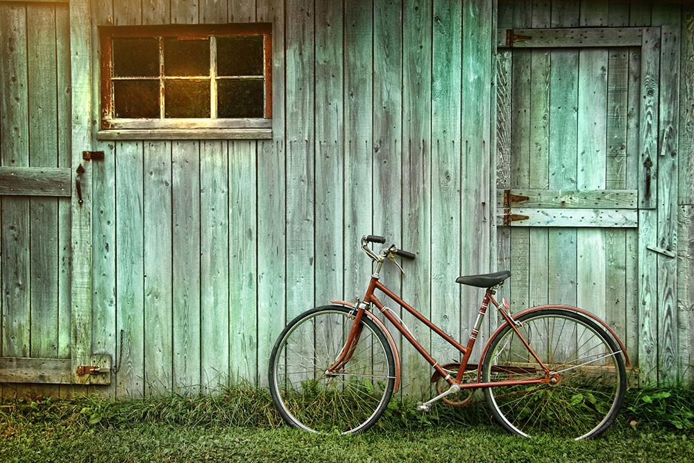 7 Reasons Why We Need More Bike Sheds